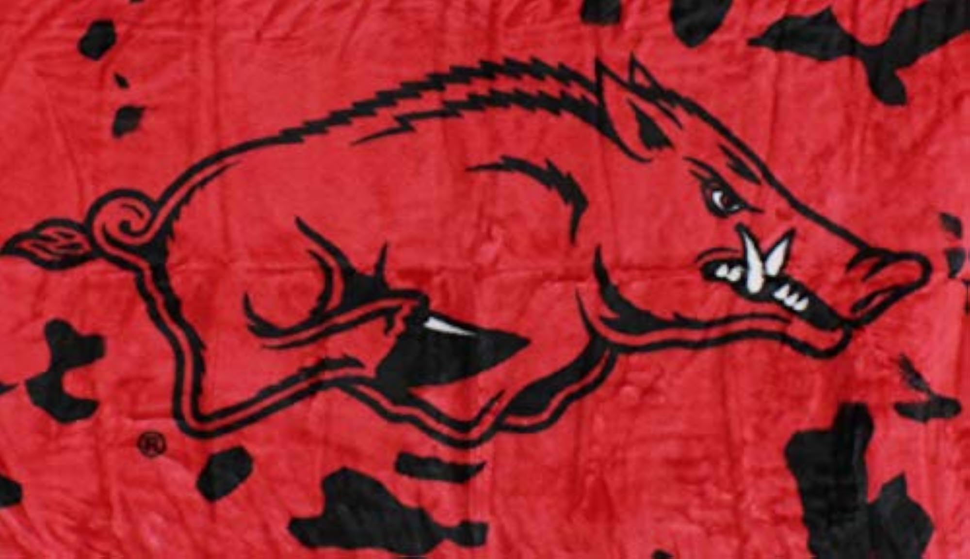 NCAA Arkansas Razorbacks Throw Blanket, Bedspread