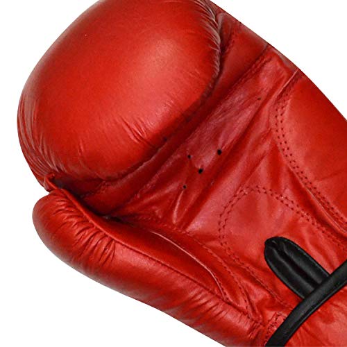 Image of RXN Training Sparring Gloves Amateur (RED-10oz)