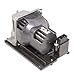 Huaute NP18LP 60003128 Replacement Projector Lamp with Housing for NEC NP-V300X V300X V300XG V300W V300WG Projectors