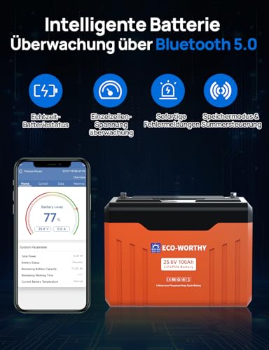 ECO-WORTHY 24V 100Ah LiFePO4 Bluetooth mit Display V2.0, 2560Wh Lithium batterie mit BMS Low Temperature Schutz für Boot,Wohnwagen,Wohnmobil