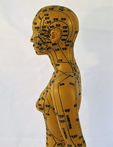 Human Female Acupuncture Anatomical Model with Acupuncture Points, Bronze Color, Height 18 Inch - Thumbnail 6