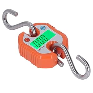 Bewinner Digitale Hängewaage 150 kg WH-C100