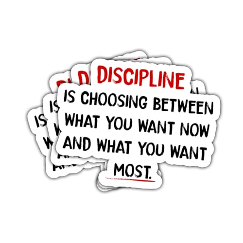 3Pcs Discipline is Choosing Between What You Want Now and