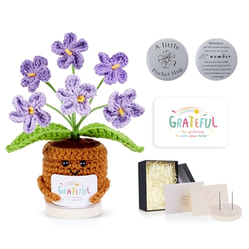 LAIDANLA Handmade Positive Crochet Flowers Forget Me Not Gradient Purple Thank You Gifts for Women Mom Teacher Coworker Friend Appreciation Christmas Valentine Mother's Day Small Gifts