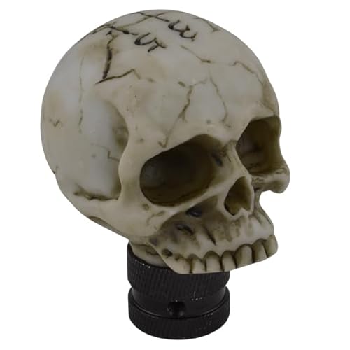 Temzzer 5 Speed Skull Gear Knob Resin Lever Stick Shifter Head for Most Manual Automotive Vehicles (Bone)