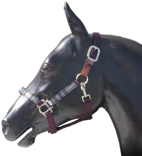 Kensington KPP Breakaway Halter Set with Padded Nose