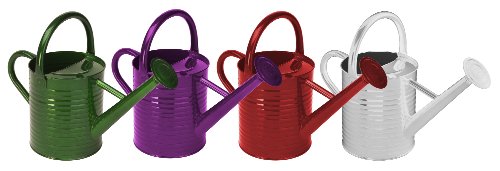 Panacea 84835 Metal Traditional Painted Watering Can, 4-Liter, 4 #TOP11