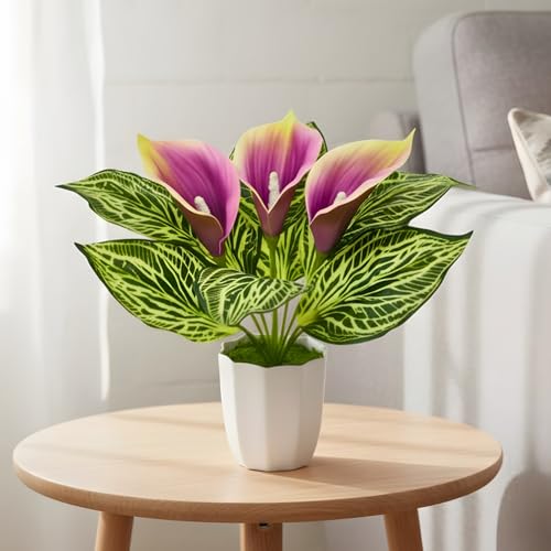 Image of fancymart Artificial Calla Lily Plant with Pot - 30 cm Height Decorative Flower Leaves (Pack of 1) | Realistic Faux Plant for Home & Office Decor | Table, Shelf & Desk Decoration