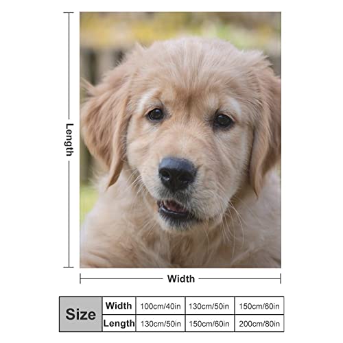 Plaid canapé polelle chiot mignon couverture flanelle lit douce 100x130cm - 3