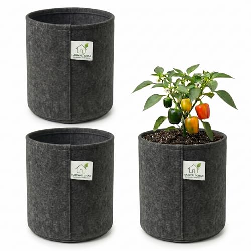 Image of 400 GSM Geo Fabric Round Grow Bags 6x6 Inch, Dark Grey Planting Bags for Terrace and Kitchen Gardening Pack of 3
