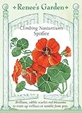 Nasturtium - Climbing Spitfire Seeds