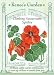 Nasturtium - Climbing Spitfire Seeds
