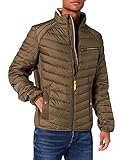 Moderne, gesteppte Übergangsjacke mit farbigen Details am Stehkragen & Reißverschluss