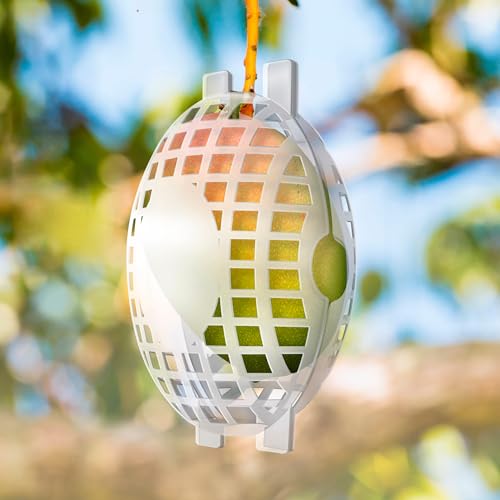 Rooted Promise 12 Pack Large Fruit Protection Cages 5 x 8 inch, Perfect for Protecting mangos on Fruit Trees - Made in The USA