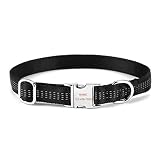 Filhome Personalisierte Reflektierend Halsband mit Eingraviertem Namen und Telefonnummer Nylon Hundehalsbänder für Kleine und Mittlere Hunde
