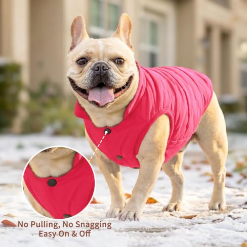Image of JoyDaog Fleece Lined Dog Jacket for Small Dogs,Winter Dog Coat,Pink XS | Warm Windproof Puppy Vest for Cold Weather,Soft Cozy Doggie Clothes for Smaller Dog Breeds,Indoor Sleeping,Daily Walk