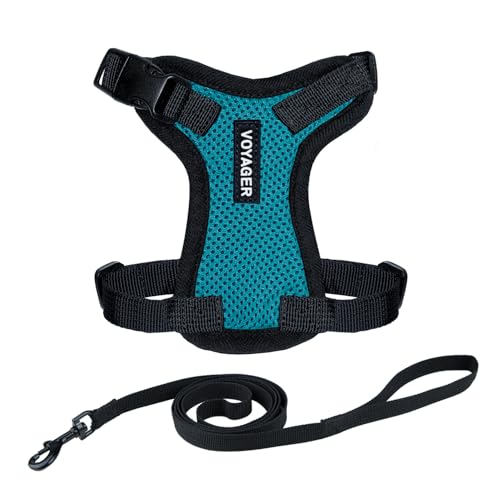 Image of Voyager Escape-Proof Step-in Lock Cat Harness & 5ft Neoprene-Handle Leash Set All-Weather Mesh with Reflective Stitching for Small to Large Cats by Best Pet Supplies, Turquoise /Black Trim, XXXS