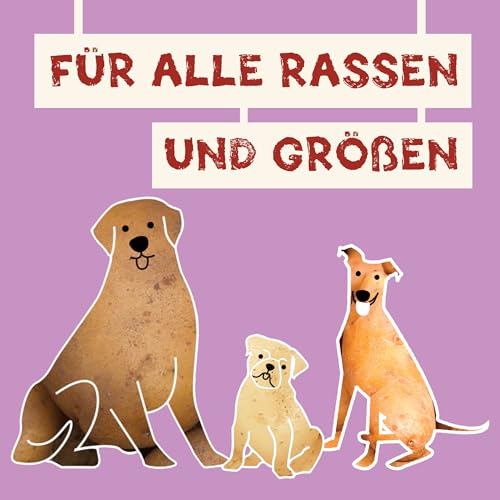 Pawtato kleine Kauknoten für Hunde vegan (1,6 kg Mischpackung), Hundeleckerli mit Süßkartoffeln, Reis & Backhefe für Energie, Leckerli für Hunde & Welpen auf Pflanzenbasis, Kausnack, gemischte Farben