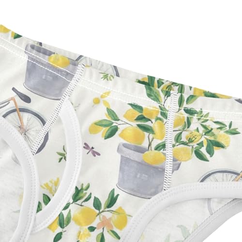 Wusikd Gray Bicycles Boys' Underwear Cotton Lemon Trees Boys Briefs Soft Toddler Underwear 2T4