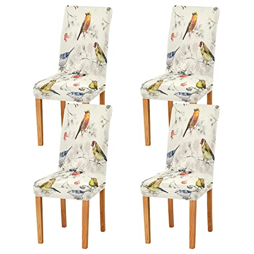 xigua Watercolor Retro Bird Dining Room Chair Covers Slipcovers Set of 4,Stretchable Chair Slipcover Washable Removable for Hotel,Office,Ceremony,Banquet Wedding Party