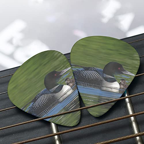 Pack de 12 médiators Loon Nature Bird médiators pour guitare électrique guitare acoustique diverses guitares - Les Beatles, Paul McCartney, John Lennon, RIngo Starr, George Harrison Pack de 12 médiators Loon Nature Bird médiators pour guitare électrique guitare acoustique diverses guitares – Image 7