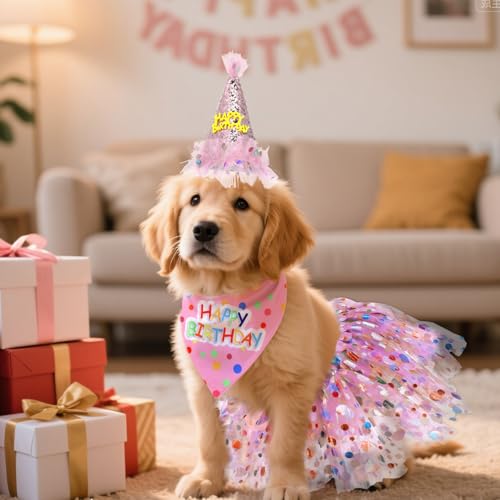 Disfraz de cumpleaños para perro con gorro y vestido rosa miniatura 7