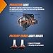 Nilight Fog Light Assembly Compatible with 2011 2012 2013 2014 Chrysler 300 Bumper Driving Lamps with Projector Lens and H11 12V 55W Halogen Bulbs Driver Side and Passenger Side