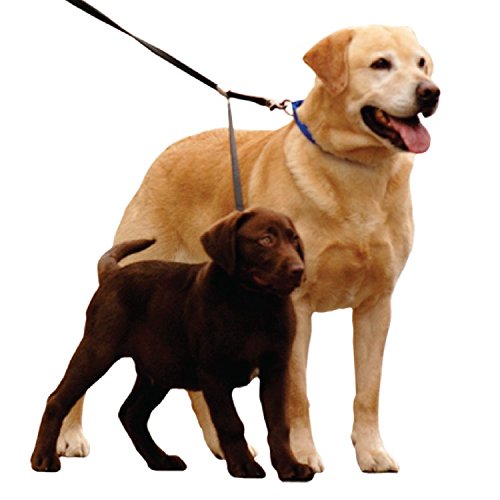 Double Dog Leash – No Tangle Swivel & Fully Adjustable Lead For Two Dogs, Double Dog Walker Leash With Soft Padded Handle, Dual Dog Splitter Leash By Sporn, Standard, Black #TOP2