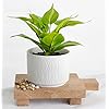 Kurrajong farmhouse fake pothos plant for office decor faux ivy desk plant artificial pothos plant with white ceramic pot artificial plant indoor fake plant for desk decor  urban country home decor