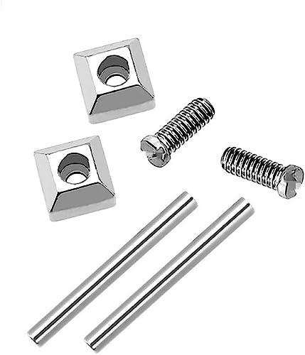 Accesorios para Relojes de Richie Strap, Tornillos y Tubos Plateados para Correa de Reloj Cartier Pasha (16 mm/18 mm/20 mm/22 mm)