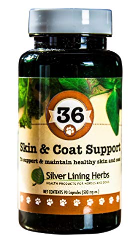 Silver Lining Herbs 36 Canine Skin & Coat Support - Natural Herbal Supplement to Fortify Dogs Against the Environment - Herbal Skin and Coat Supplement for Dogs - 90 Capsules