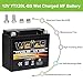 Weize YTX20L-BS High Performance Power Sports- Maintenance Free - Sealed AGM Battery ETX20L BS For Motorcycle ATV UTV snowmobile