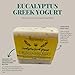 Michelle's Creatives Eucalyptus Greek Yogurt Soap Bar - Handmade Bath Soaps made With Organic Greek Yogurt - Natural Moisturizing Soap Bar - Vegan and Luxury Soap for Sensitive Skin