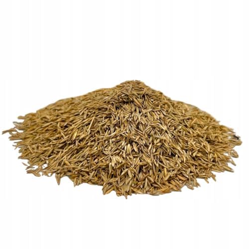 Sport Rasensamen Schnellkeimend Frühjahr 5 kg - Grassamen bis zu 200 m²