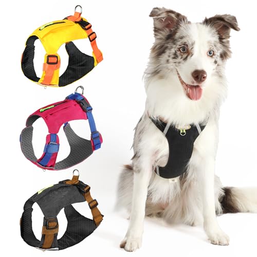 Larrance  n[lX ^/^ p h airtagt\ S~ܓ TCY\ Ԕˍ ʋC ȒPE  S P s⏕ U  v[hgC ` _bNXth ubN xs