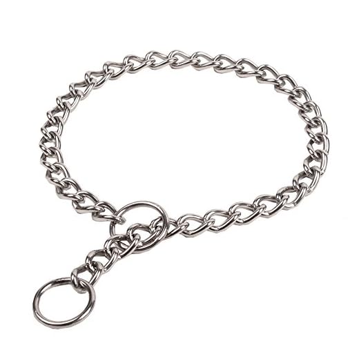 SGODA Chain Dog Training Choke Collar, 22 in, 3 mm