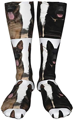 Black German Shepherd Puppies Men's/Women's Comfortable Casual Funny Long Knee High Socks Compression Socks Winter Warm Soccer Socks #TOP2