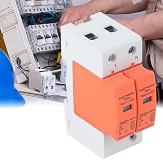 DEWIN Scaricatore di Sovratensione,2P 40kA 420V Dispositivo di Protezione Contro Le Sovratensioni AC Domestica Surge protector per la Protezione Contro i Fulmini