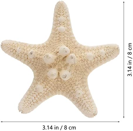 Amosfun 4pcs Natural Starfish for Crafts Shell Conch Wall Landscaping Decoration Platform Wedding Aquarium Decoration (5-8cm)