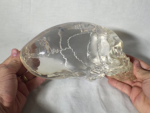Reel Art INDY-AIEN-SKULL Indy, Alien Crystal Skull Real Prop Replica, Signed, Numbered, Limited Edition thumb #1