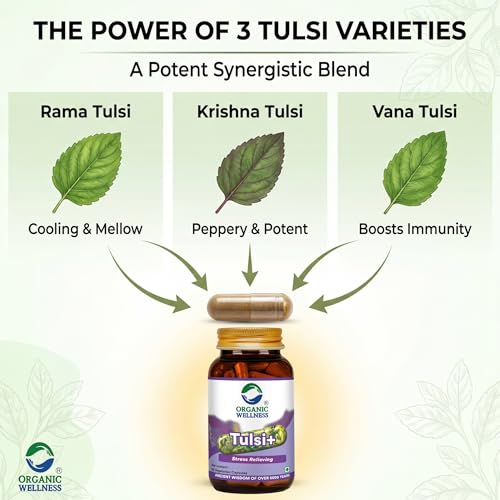 Image of Organic Wellness Tulsi Stress Reliving Supplement For Respiratory Wellness Provides Relief In Cough & Cold Stamina Boosts Immunity Prevents Chronic Disease 100% Organic (90 N Veg Capsules)
