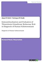 Immunolocalization and Evaluation of Thioredoxin Glutathione Reductase Role in Diagnosis of Human Schistosomiasis 3656829802 Book Cover
