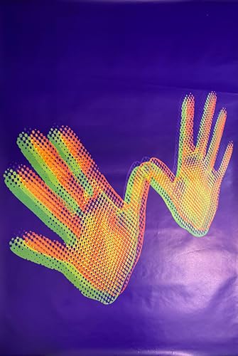 Affiche Paul Mccartney Wingspan 102x152 cm déco studio de musique