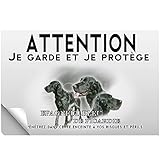 Stick Attention au chien épagneul bleu de picardie