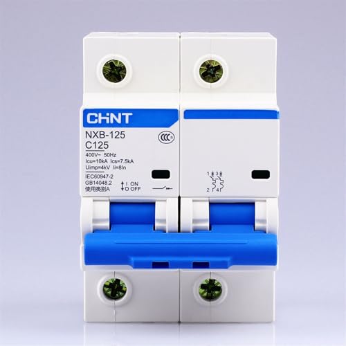 Disjoncteur miniature NXB-125 MCB DZ47 2P 100A 230V pour tableau modulaire