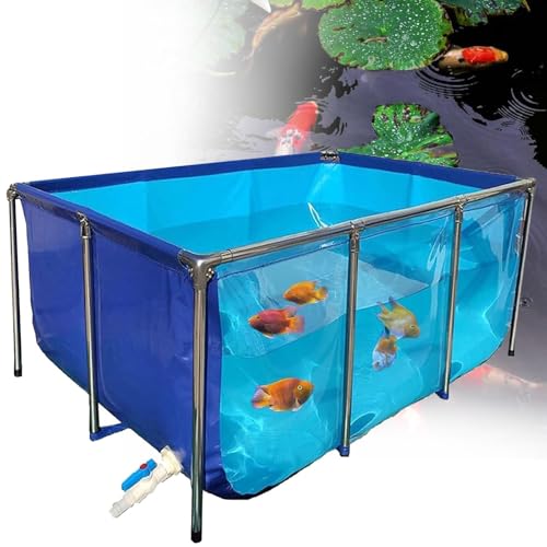 Estanque temporal de PVC para peces con estructura de acero