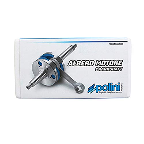  POLINI EMBIELLAGE 50 A BOITE Evolution pour MINARELLI 50 AM6-BETA 50 RR-RIEJU 50 MRT-SHERCO 50 HRD-MBK 50 X-Power-Yamaha 50 TZR-Peugeot 50 XPS, XR6 (210.0052)