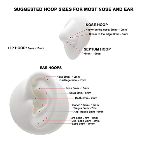 Image of FANSING Men Women 316L Surgical Steel Hinged Nose Rings Hoop for Nostril Septum Cartilage Helix Daith Tragus Rook Conch Lip Ear Lobe Piercings