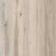 White Maple