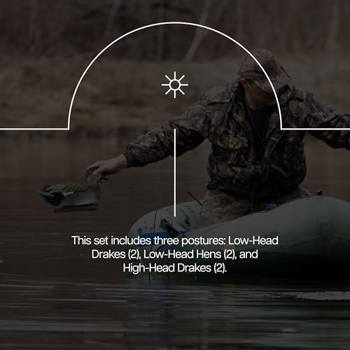 Avian X Topflight Gadwall Decoys Perfectly Replicated Late Season Gray Ducks, Weight Forward Swim Keel, Realistic Movement, Set of 6, Multicolor - Thumbnail 5